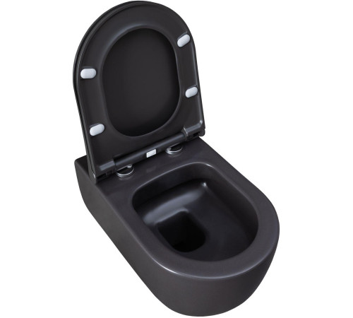 Чаша подвесного унитаза Allen Brau Priority 4.31001.AN антрацит