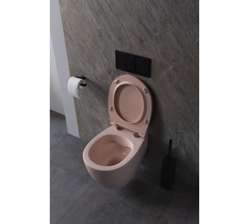 Чаша подвесного унитаза Allen Brau Fantasy 4.11004.SM розовый