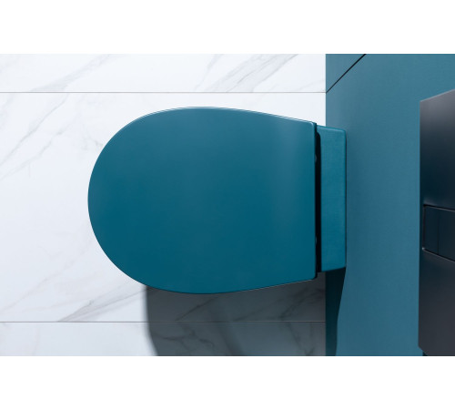 Крышка-сиденье для унитаза Allen Brau Fantasy Soft-Close 4.11005.PT петроль