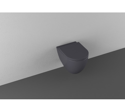 Чаша подвесного унитаза Allen Brau Reality 4.32006.AN антрацит