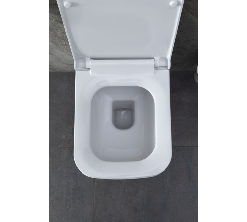 Чаша подвесного унитаза Allen Brau Infinity 4.21011.20 белый глянец