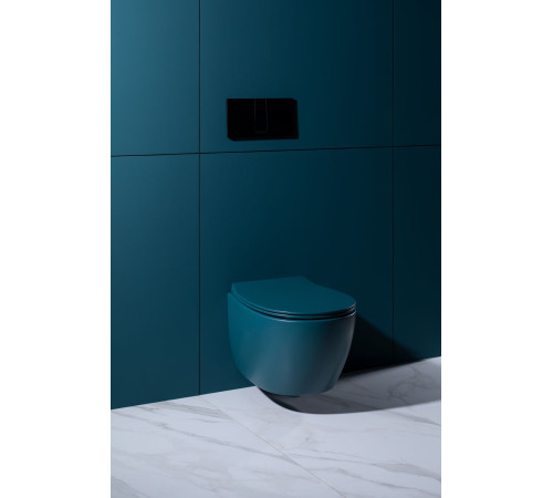 Чаша подвесного унитаза Allen Brau Fantasy 4.11004.PT петроль