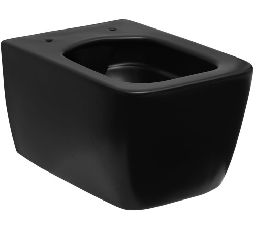 Чаша подвесного унитаза Allen Brau Liberty 4.33007.31 черный матовый