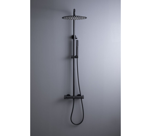 Душевая стойка Allen Brau Fantasy 5.11001-31 черный матовый
