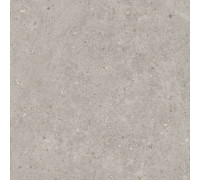 Керамогранит Риккарди SG653720R Светло-серый матовый 60х60
