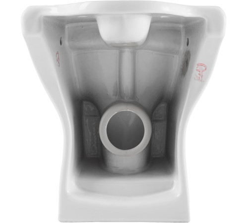 Чаша напольного унитаза Aquanet Ray-C