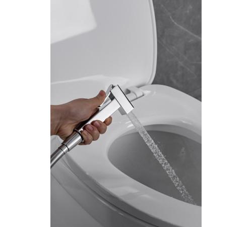 Смеситель с гигиеническим душем Allen Brau Infinity 5.21005-00 (с внутренней частью) хром