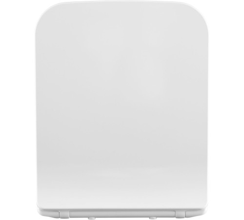 Сиденье для унитаза Allen Brau Liberty 4.33008.21 белый матовый