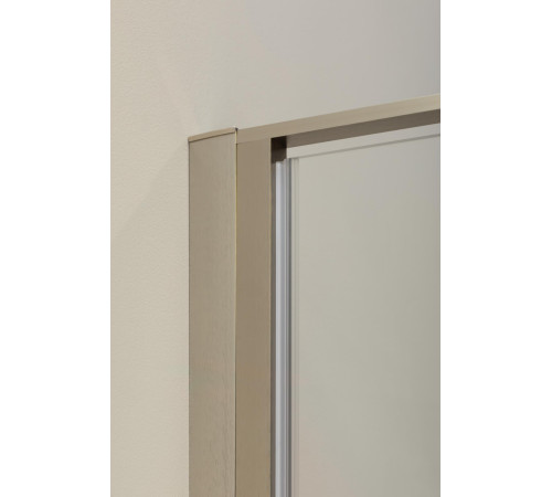 Душевая дверь Allen Brau Priority 90 3.31002.BA серебро браш