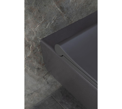 Чаша подвесного унитаза Allen Brau Priority 4.31001.AN антрацит