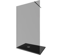 Душевая перегородка Allen Brau Infinity 1 160 3.21032.BA.T серебро браш