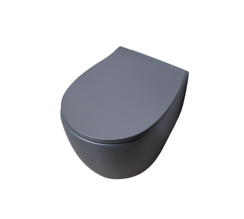 Крышка-сиденье для унитаза Allen Brau Fantasy Smartfix, Soft-Close 4.11005.AN антрацит