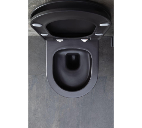 Чаша подвесного унитаза Allen Brau Priority 4.31002.AN антрацит