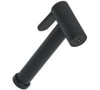 Гигиеническая лейка Allen Brau Priority 5.31028-31 черный матовый