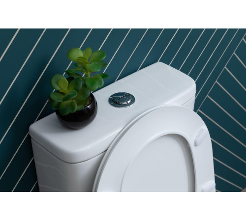 Чаша напольного унитаза Aquanet Rimless Roll 2-C CL-12289