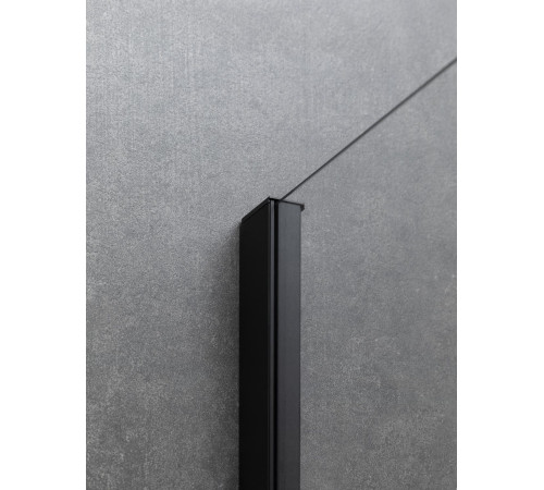 Душевой уголок Allen Brau Priority 120x90 3.31033.BBA + 3.31045.BBA черный браш