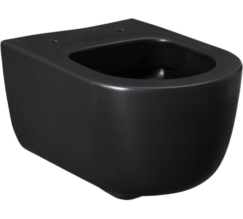Чаша подвесного унитаза Allen Brau Priority 4.31002.31 черный матовый
