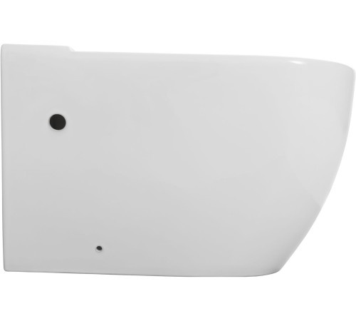 Чаша напольного унитаза Aquanet Cetus 3.0 Tornado