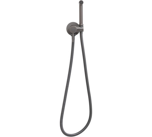 Смеситель с гигиеническим душем Allen Brau Priority 5.31A29-MG (с внутренней частью) графит браш