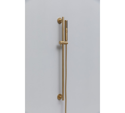 Душевой гарнитур Allen Brau Priority 5.31010-GB золото