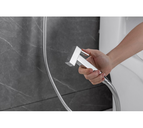 Смеситель с гигиеническим душем Allen Brau Infinity 5.21005-00 (с внутренней частью) хром