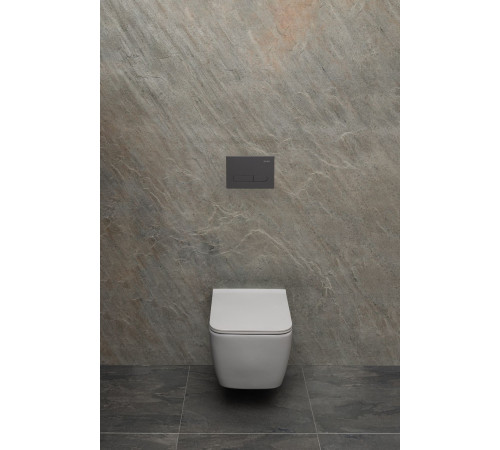 Чаша подвесного унитаза Allen Brau Liberty 4.33007.AN антрацит