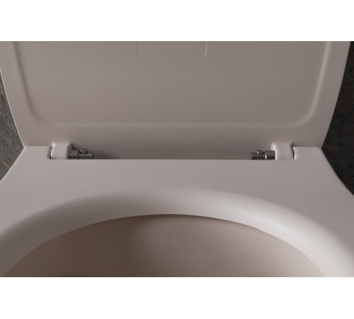 Чаша подвесного унитаза Allen Brau Fantasy 4.11004.IV айвори