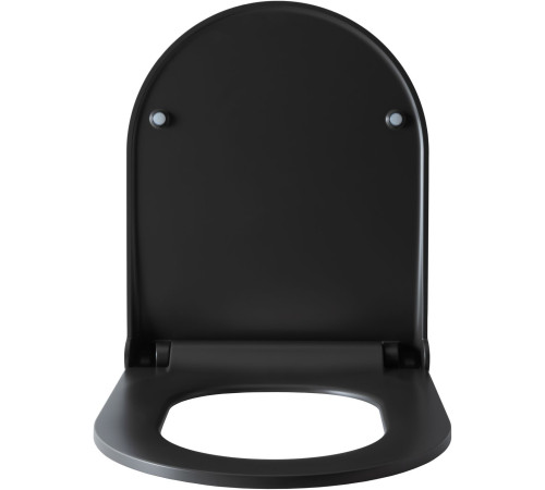Крышка-сиденье для унитаза Allen Brau Priority 4.31004.AN антрацит