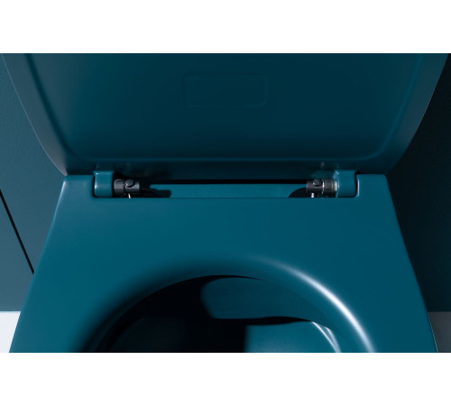 Чаша подвесного унитаза Allen Brau Fantasy 4.11004.PT петроль