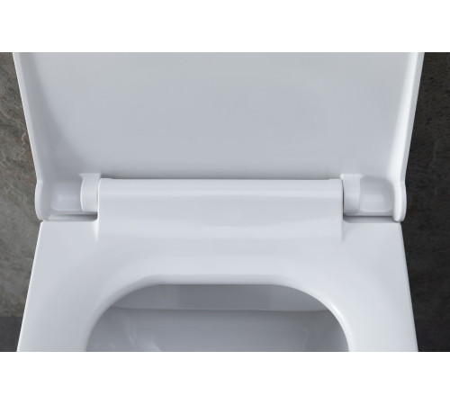 Унитаз с инсталляцией Allen Brau Infinity 4.21011.20/8.9466.0.000.000.1 белый глянец