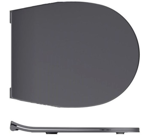 Крышка-сиденье для унитаза Allen Brau Reality 4.32007.AN антрацит