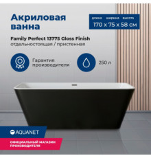Акриловая ванна Aquanet Family Perfect 170x75 13775-GW-MB