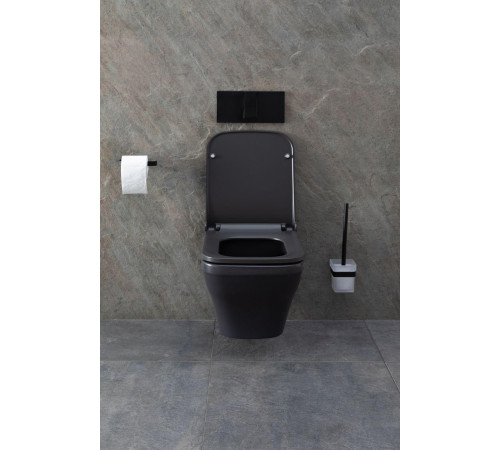 Чаша подвесного унитаза Allen Brau Infinity 4.21011.AN антрацит