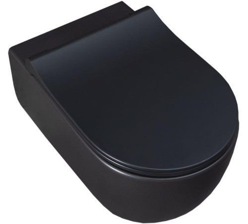 Чаша подвесного унитаза Allen Brau Priority 4.31001.31 черный матовый