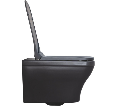 Чаша подвесного унитаза Allen Brau Infinity 4.21011.31 черный матовый