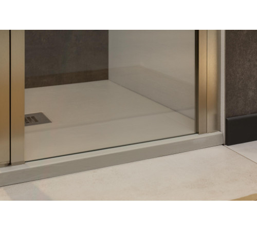 Душевая дверь Allen Brau Priority 160 3.31038.BA серебро браш