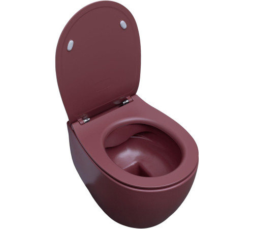 Чаша подвесного унитаза Allen Brau Fantasy 4.11004.BD бордо