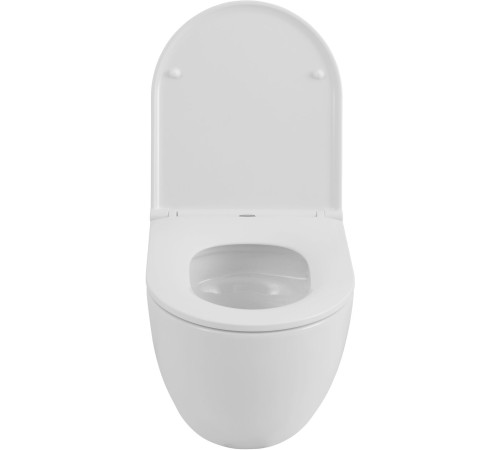 Чаша подвесного унитаза Allen Brau Priority Tornado 4.31009.20 белый глянец