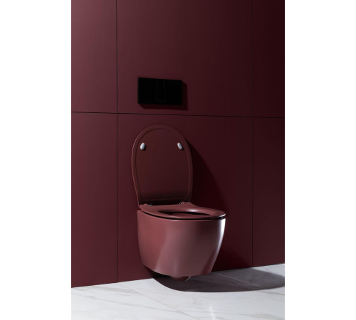 Чаша подвесного унитаза Allen Brau Fantasy 4.11004.BD бордо