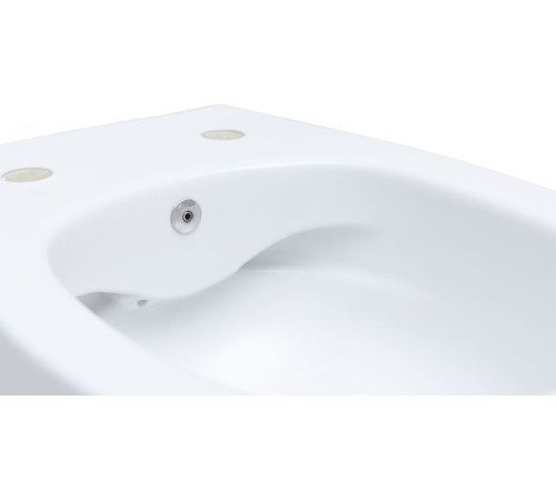 Чаша подвесного унитаза Allen Brau Fantasy 4.11HC1.20 белый глянец