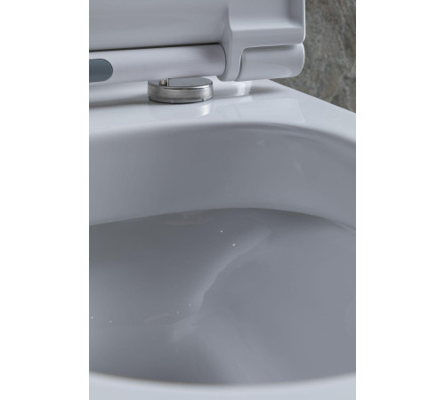 Чаша напольного унитаза Allen Brau Priority 4.31003.20 белый