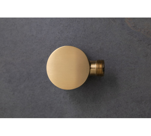 Шланговое подключение Allen Brau Priority 5.31A15-GB золото