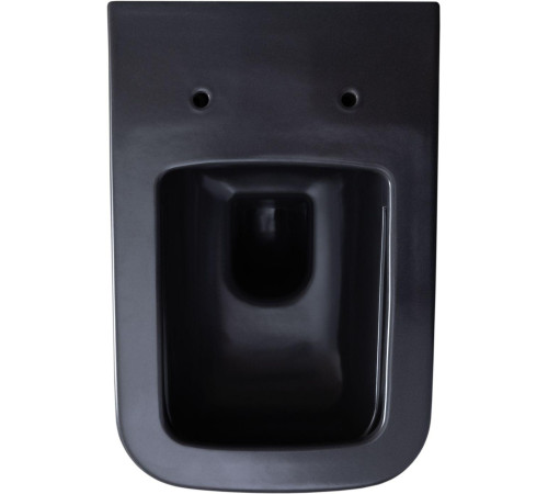 Чаша подвесного унитаза Allen Brau Infinity 4.21011.AN антрацит