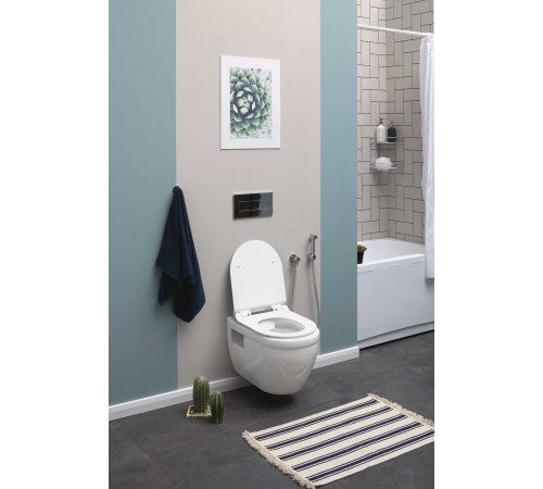 Унитаз подвесной Aquanet Rimless Glide-W CL-11042