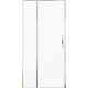 Душевая дверь Allen Brau Priority 100 3.31004.00 хром
