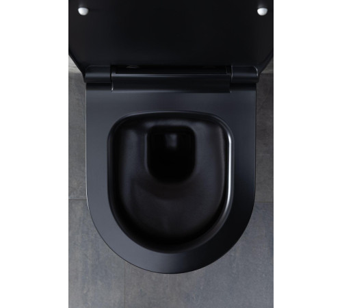 Чаша подвесного унитаза Allen Brau Priority 4.31002.31 черный матовый