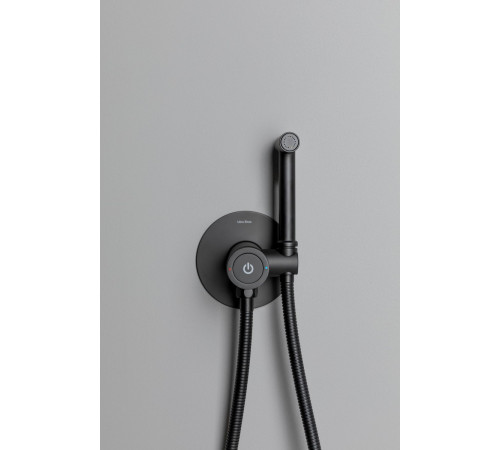 Смеситель с гигиеническим душем Allen Brau Liberty 5.33005-31 (с внутренней частью) черный матовый
