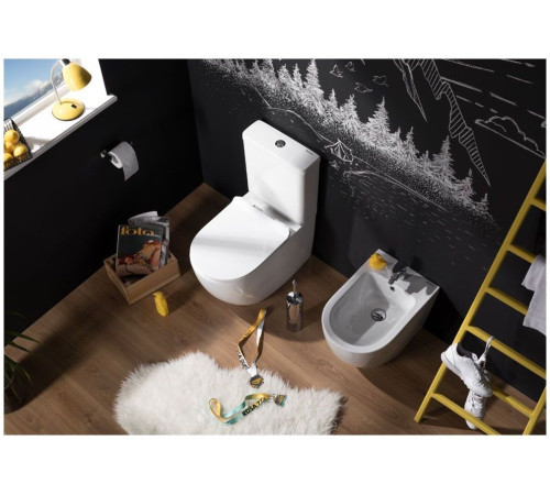 Сливной бачок Aquanet Cetus-C2 BL-102N-TPT