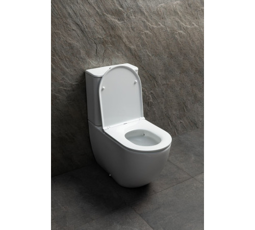 Чаша напольного унитаза Allen Brau Priority Tornado 4.31006.20 белый глянец