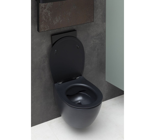 Крышка-сиденье для унитаза Allen Brau Fantasy Smartfix, Soft-Close 4.11005.31 черный матовый